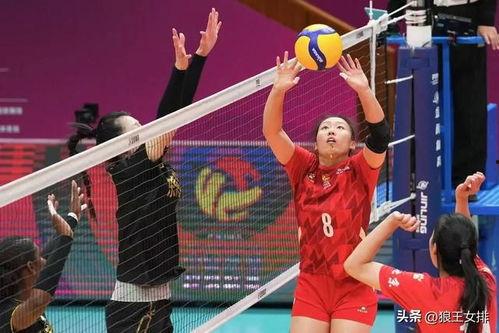 王珂爆料女排最新消息,备战奥运，备战新征程