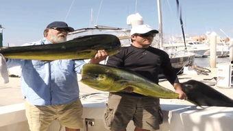 最新偷鱼爆料新闻,揭秘黑幕，渔民权益再受冲击