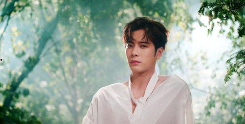 网红王嘉尔最新爆料,网红背后的真实生活与心路历程